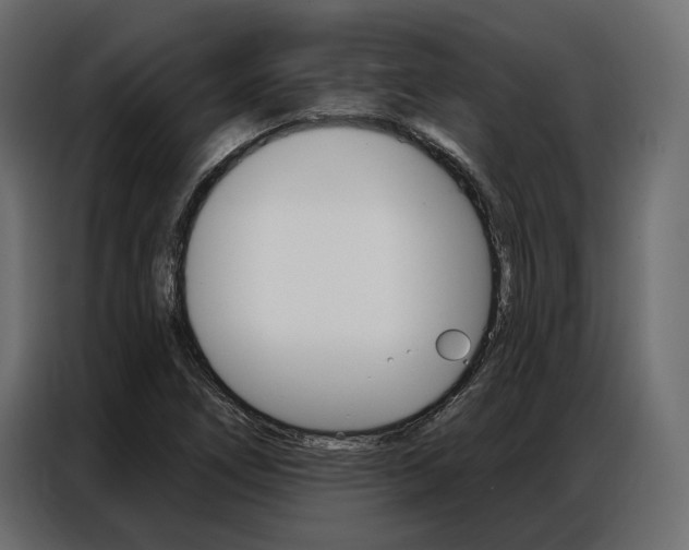 X0000086901266200704160938