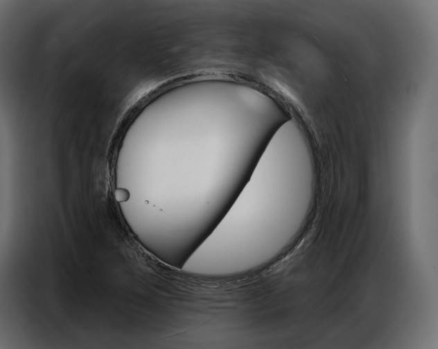 X0000086901267200704160938