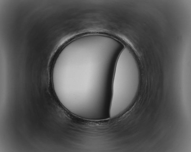 X0000086901270200704160938