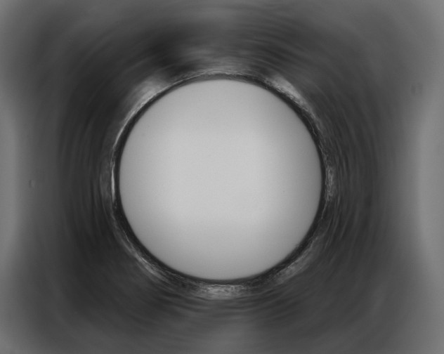 X0000086901274200704160938