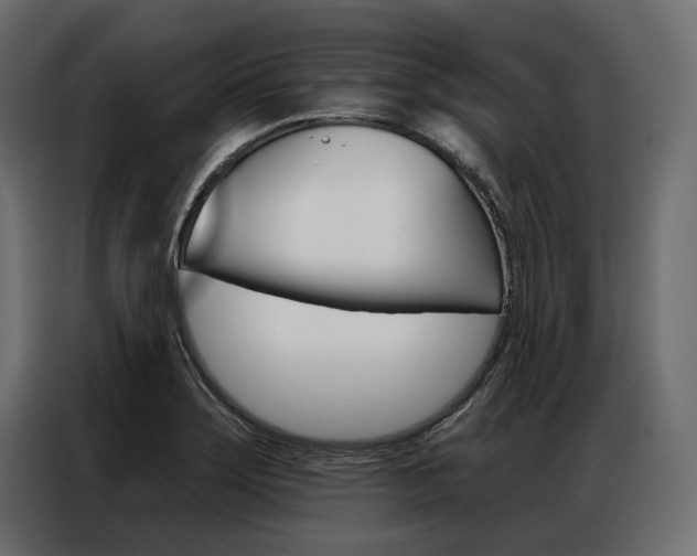 X0000086901275200704160938