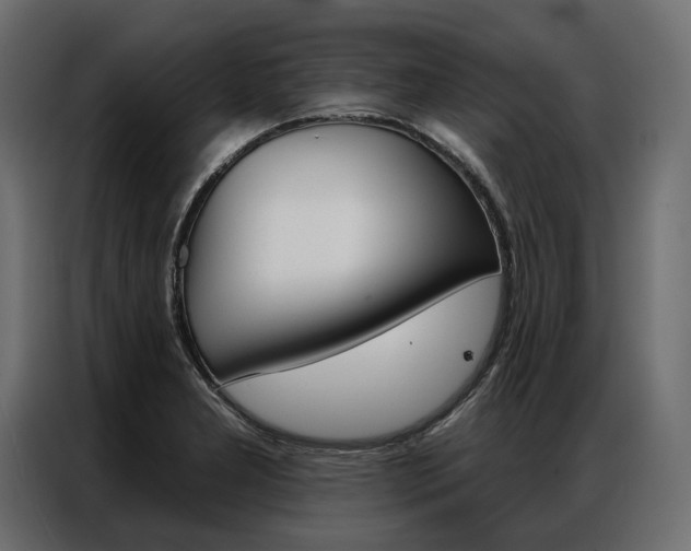 X0000086901277200704160938