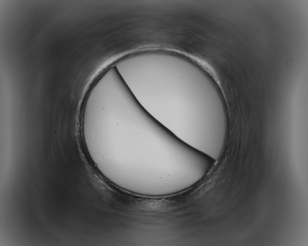 X0000086901279200704160938