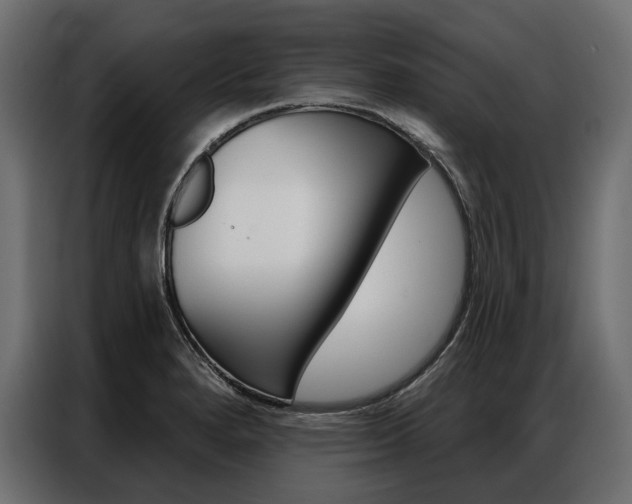 X0000086901280200704160938