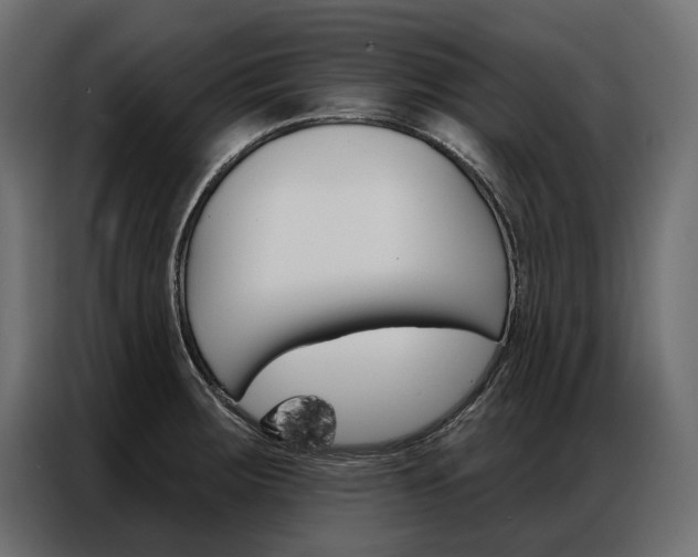 X0000086901283200704160938