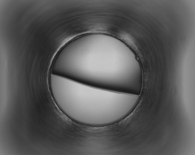 X0000086901284200704160938