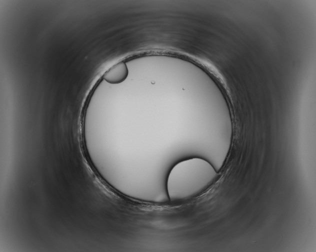 X0000086901287200704160938