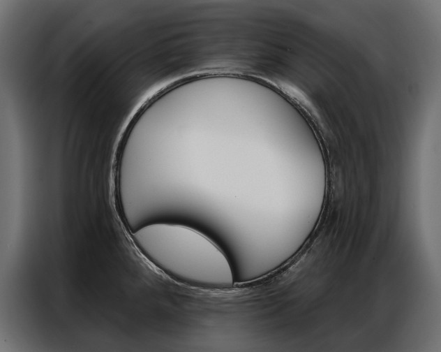 X0000086901288200704160938