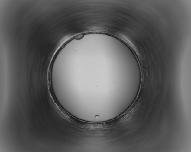 X0000086901291200704160938