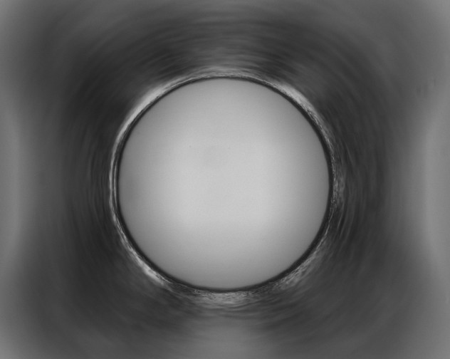 X0000086901294200704160938