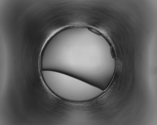 X0000086901295200704160938