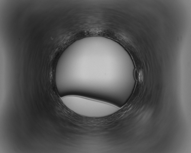X0000086901299200704160937