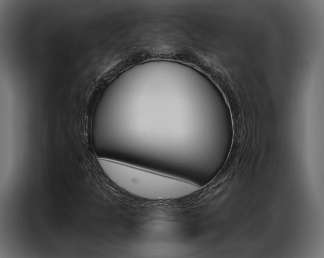 X0000086901301200704160937