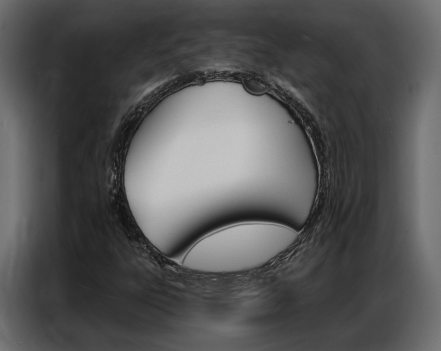 X0000086901303200704160937