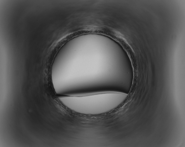 X0000086901304200704160937