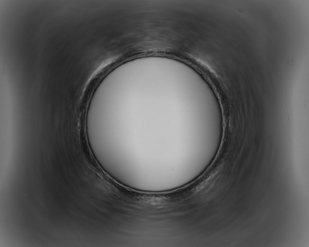 X0000086901309200704160937