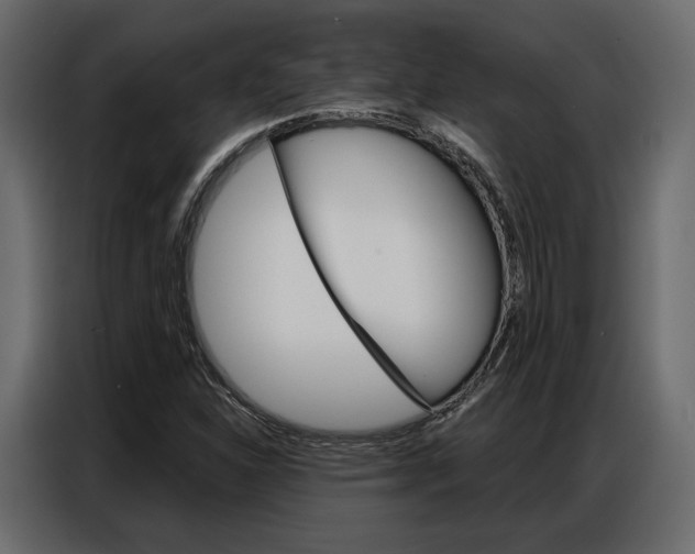 X0000086901310200704160937