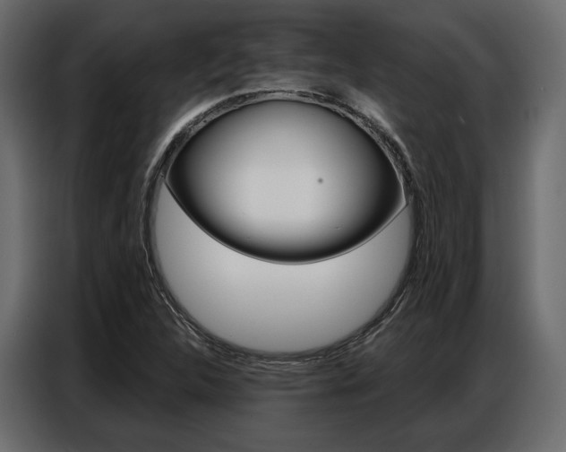 X0000086901312200704160938