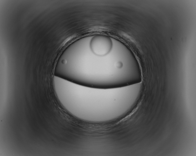 X0000086901313200704160938