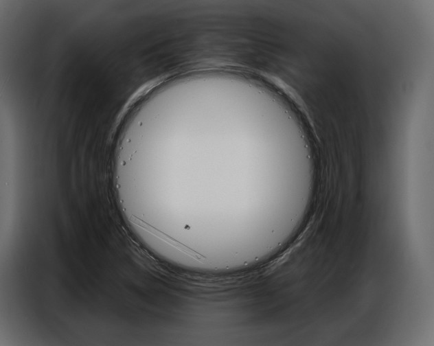X0000086901314200704160938