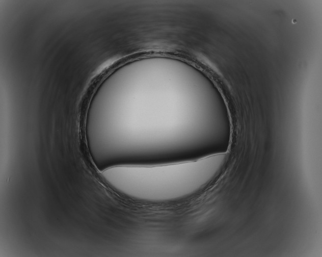 X0000086901315200704160938