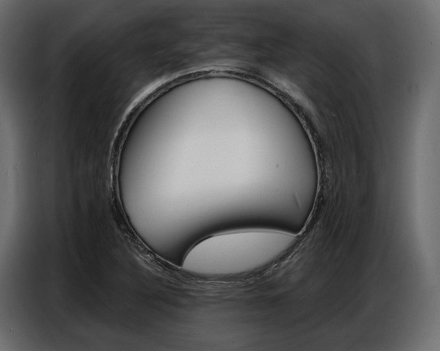 X0000086901316200704160938