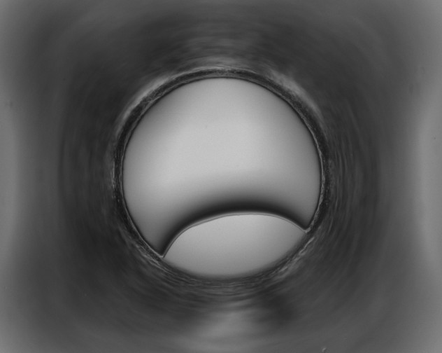 X0000086901318200704160938