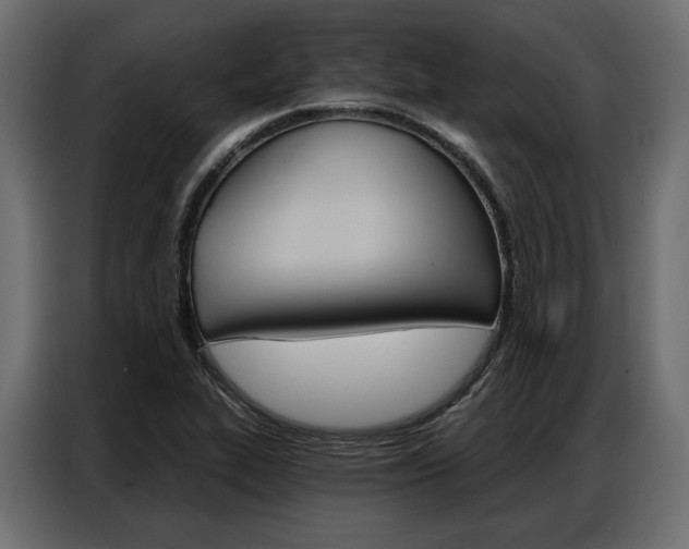 X0000086901319200704160938