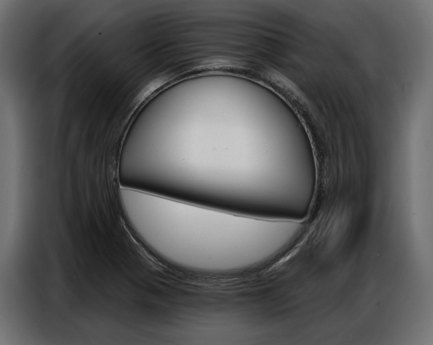 X0000086901321200704160938