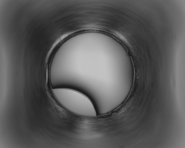 X0000086901323200704160938