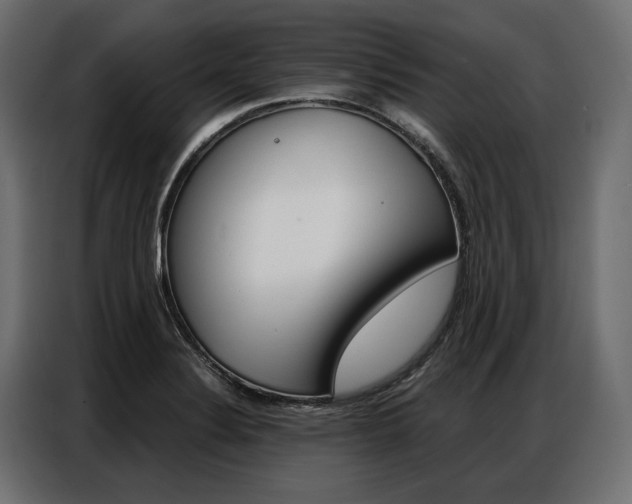 X0000086901324200704160938