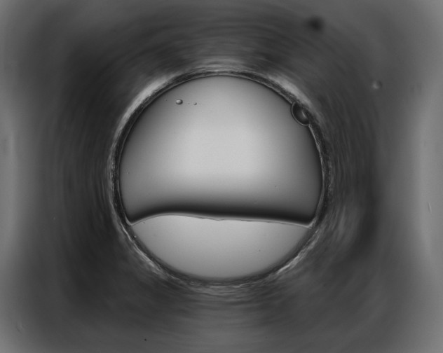 X0000086901325200704160938