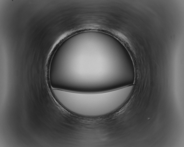 X0000086901326200704160938