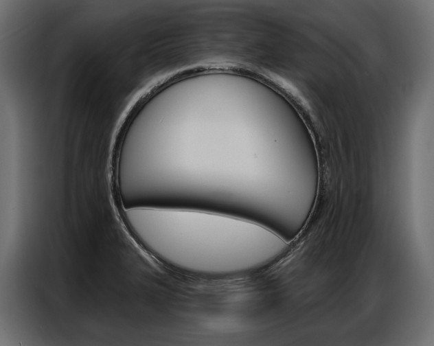 X0000086901327200704160938