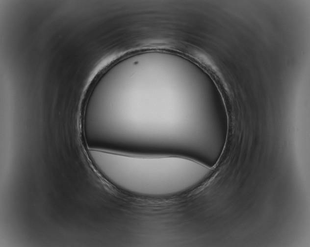 X0000086901328200704160938