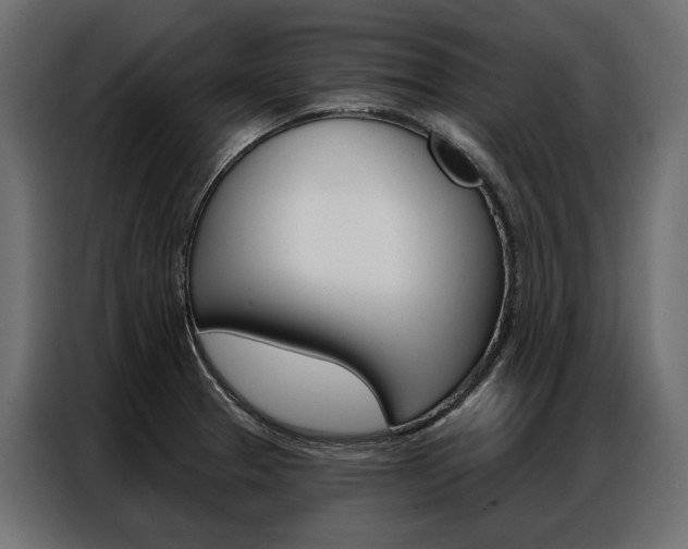 X0000086901329200704160938