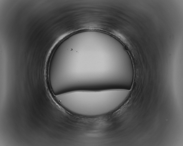 X0000086901331200704160938