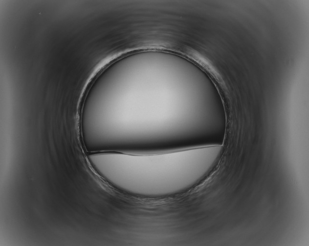 X0000086901332200704160938