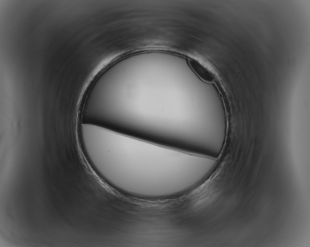 X0000086901333200704160938