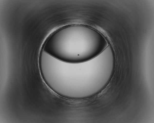X0000086901334200704160938