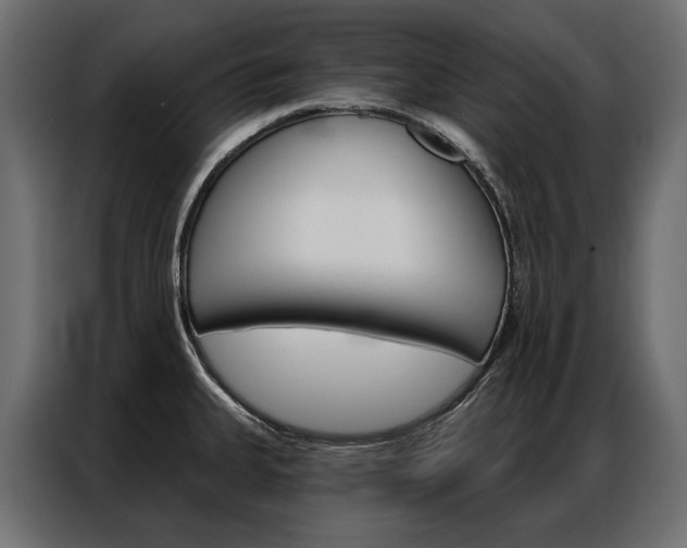 X0000086901335200704160938