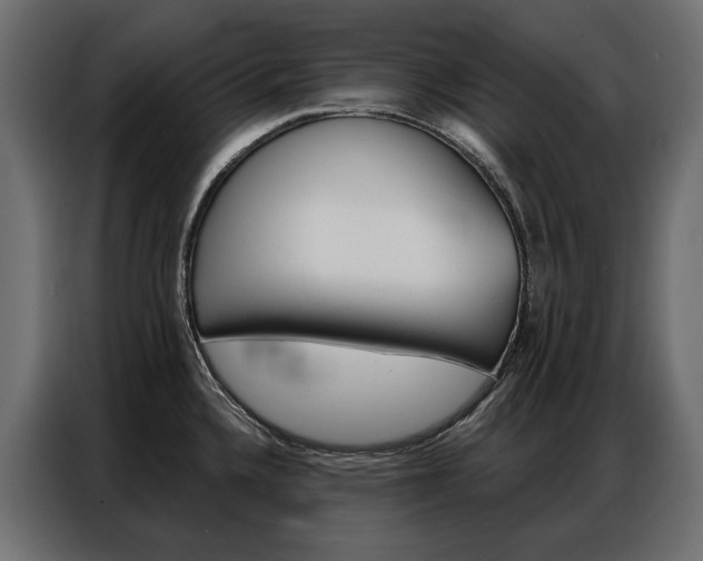 X0000086901336200704160938