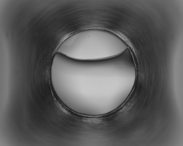 X0000086901337200704160938