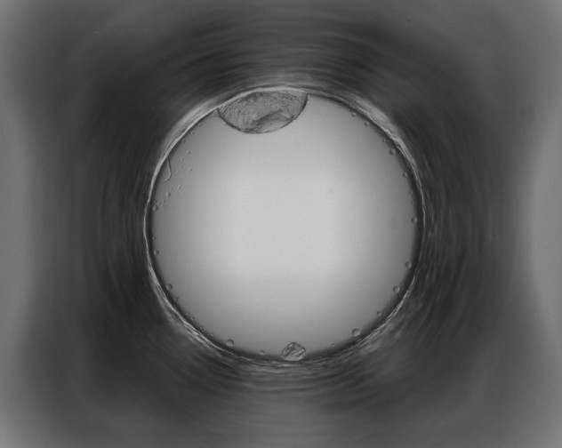 X0000086901338200704160938