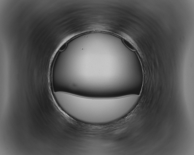 X0000086901339200704160938