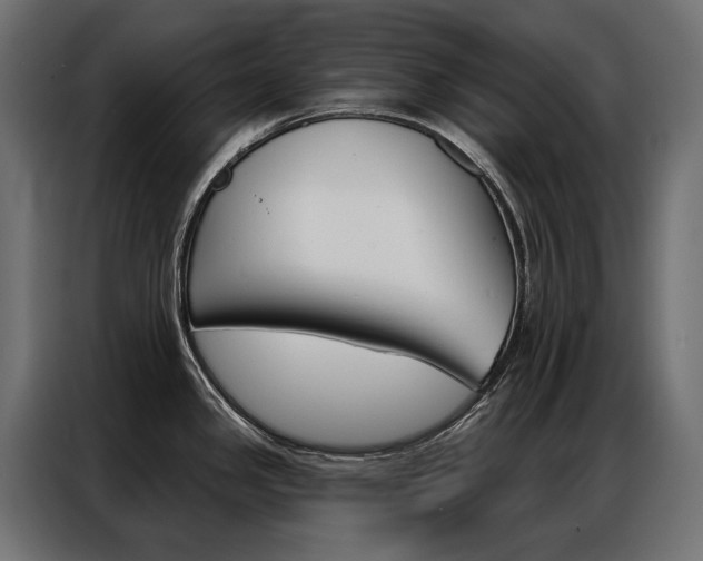 X0000086901341200704160938