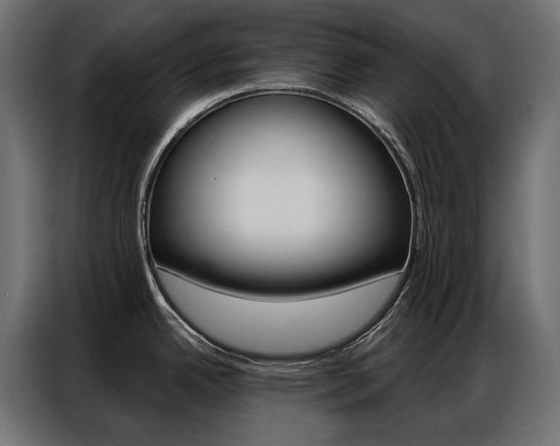 X0000086901342200704160938