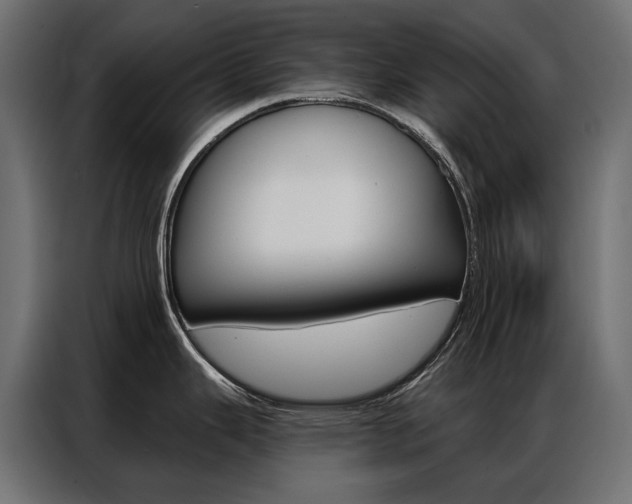 X0000086901343200704160938