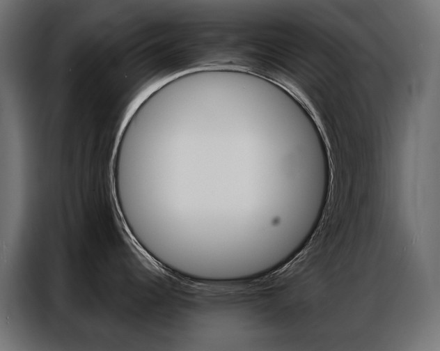 X0000086901344200704160938