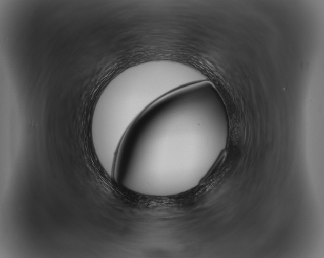 X0000086901345200704160937